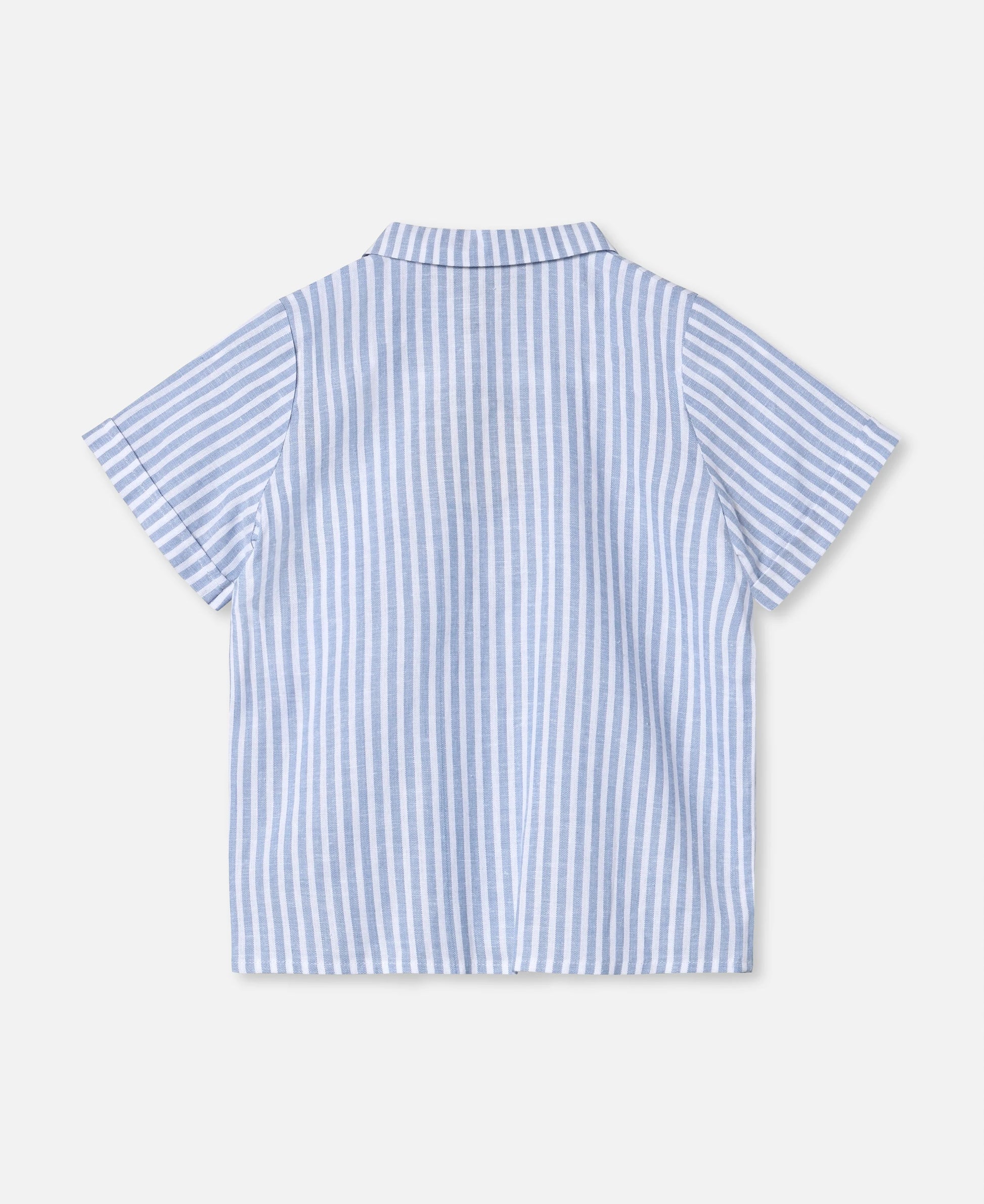 Camicia a righe azzurra camicia