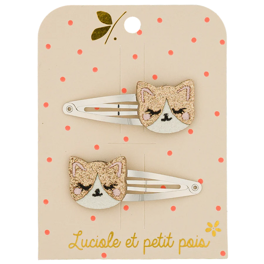 Mollette gattino