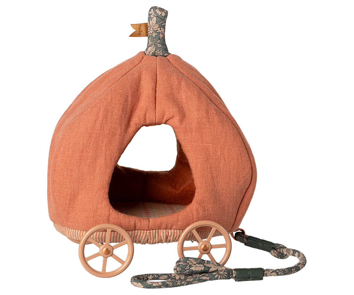 Carrozza zucca. Topo