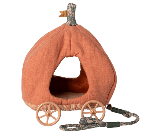 Carrozza zucca. Topo
