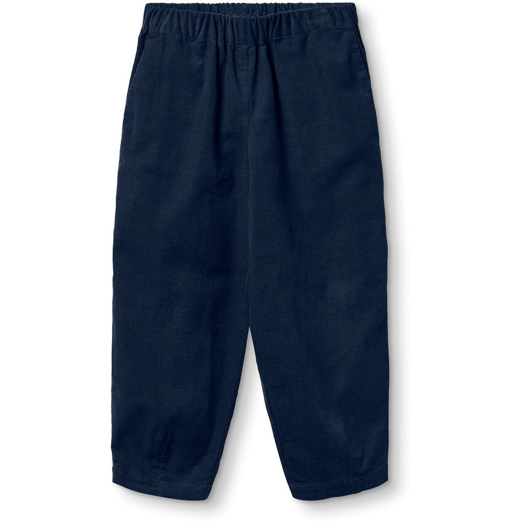 Pantaloni in Velluto Blu – Cotone 100% con Elastico in Vita e Tasche