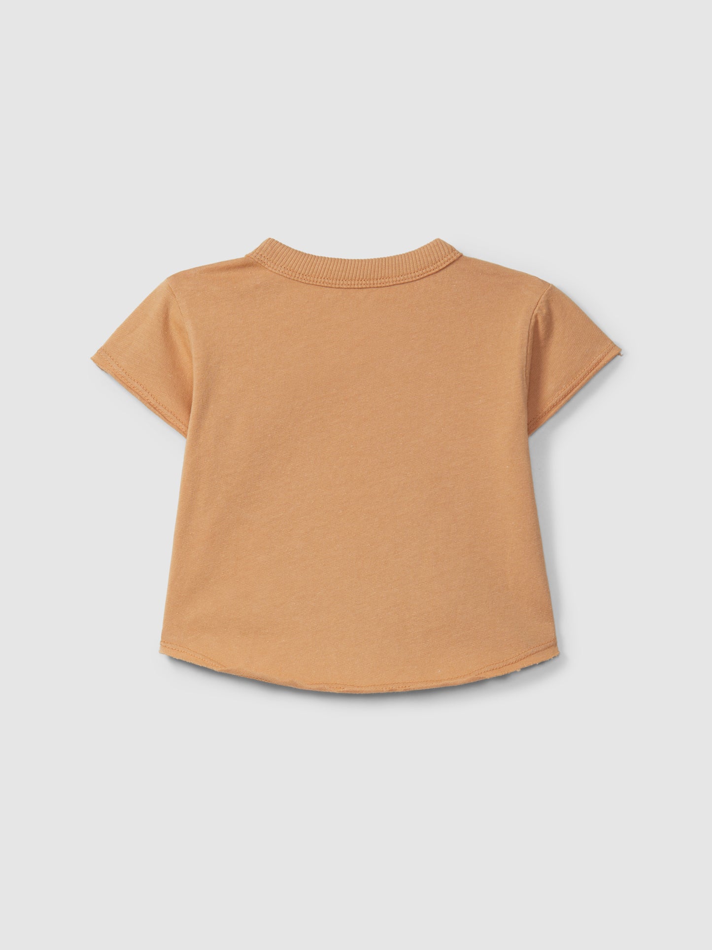 T-shirt in jersey tinta unita maglietta